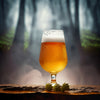 Anchor Steam Clone Extract Beer Recipe Kit Will 'o the Wisp