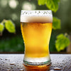 Cream Ale Extract Beer Recipe Kit Dew Drop