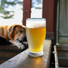 Cream Ale Extract Beer Recipe Kit Mississippi Leg Hound