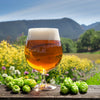 Dogfish Head 90 Minute IPA Clone All Grain Beer Recipe Kit Catbird Feet 5400 Second