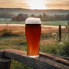 Dunkelweizen German Dark Wheat Extract Beer Recipe Kit Farfignuggan