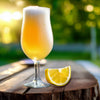 Hefeweizen German Wheat Beer Extract Beer Recipe Kit Spritz & Bite