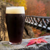 Maple Porter Extract Beer Recipe Kit Falling Leaf