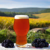 Wheat Beer Blackberry All Grain Beer Recipe Kit Ramble in the Bramble