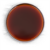 Briess Golden Light Malt Extract Syrup