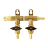 CO2 Manifold - 2-Way With Barb Shutoffs & Check Valves - Brass