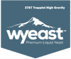 Wyeast 3787 Trappist High Gravity