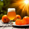 Summer Ale Extract Beer Recipe Kit Sunbeam Tangerine White Ale