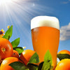 Summer Ale Extract Beer Recipe Kit Sunbeam Tangerine White Ale