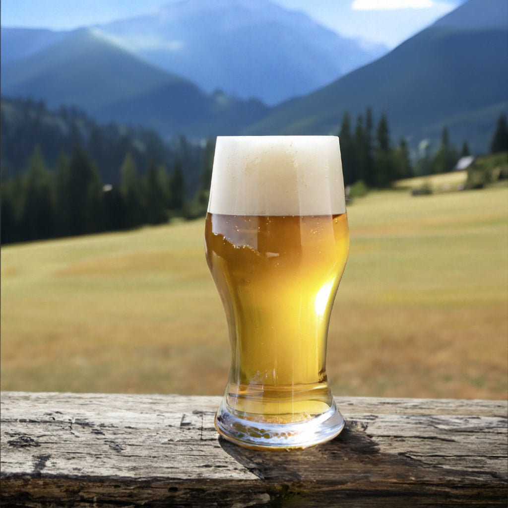 Ale Key 5 Gallon Brewing Kit Summer Breeze Key Lime Golden Ale Beer Making Kit ...