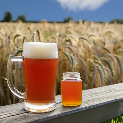 Honey Wheat Beer All Grain Recipe Beer Kit Indian Summer
