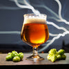 Imperial IPA Extract Beer Recipe Kit Don't Tase Me Bro!