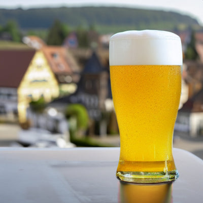Kolsch Ale Extract  Beer Recipe Kit Rheingarten
