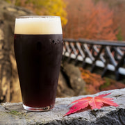 Maple Porter Extract Beer Recipe Kit Falling Leaf
