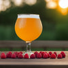 Raspberry Wheat Beer Extract Beer Recipe Kit Razzle Bedazzle