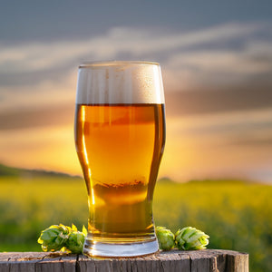 Sierra Nevada Torpedo IPA Clone Extract Beer Recipe Kit Depthcharge