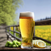 Spring Ale Lemon Centennial All Grain Beer Recipe Kit All that Glitters