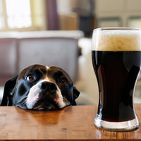 Stout Beer Extract Beer Recipe Kit Dog Snout