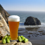 West Coast IPA All Grain Beer Recipe Kit Blitzkrieg Anthem