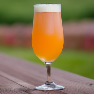 Belgian White Ale All Grain Beer Recipe Kit Forbidden Fruit