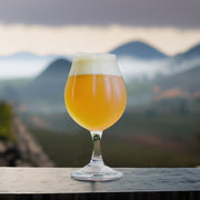 Belgian White Ale All Grain Beer Recipe Kit Misty Mountain