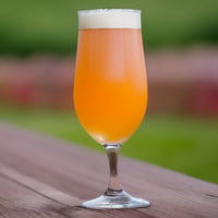 Belgian White Ale Extract Beer Recipe Kit Forbidden Fruit