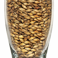 Briess Mesquite Smoked Malt