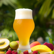 Hazy IPA Extract Beer Recipe Kit Absofuckinglutely