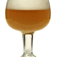 Belgian White Ale Extract Beer Recipe Kit Misty Mountain