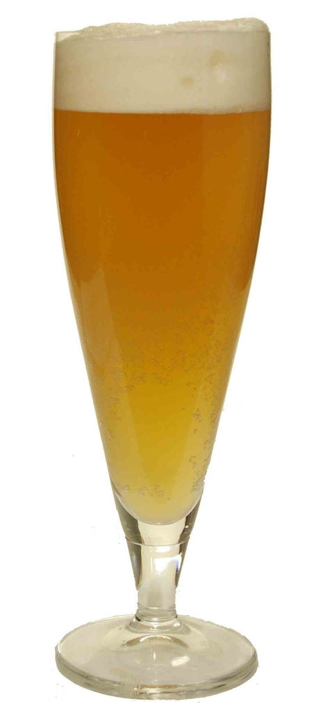 Razzle Bedazzle Raspberry Wheat Ale Extract Beer Recipe Kit | Jasper's ...